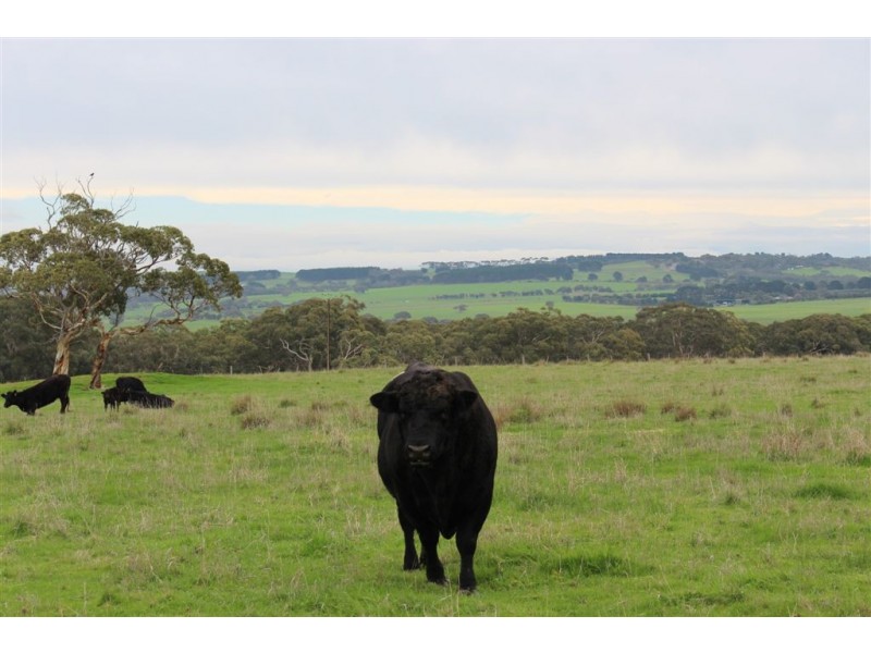 Lot 3 DePledge Road, Waitpinga SA 5211