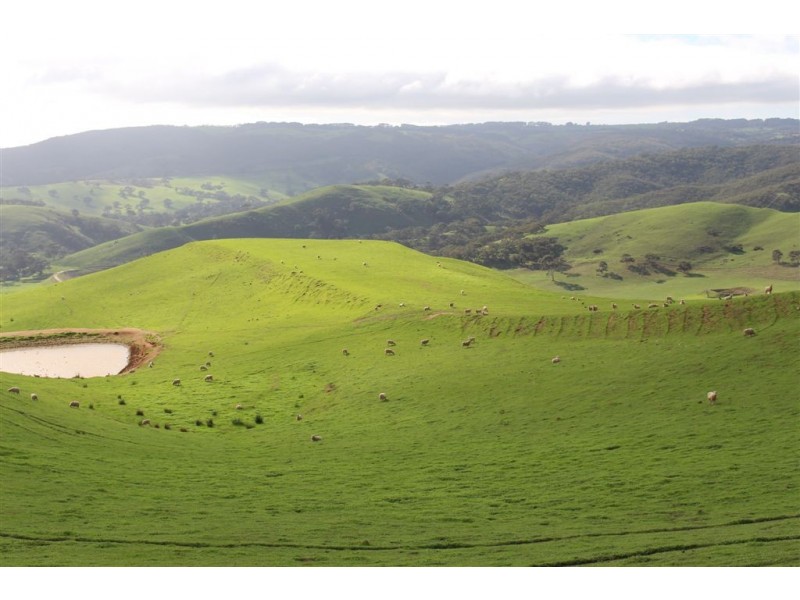 725 Kemmiss Hill Road, Inman Valley SA 5211