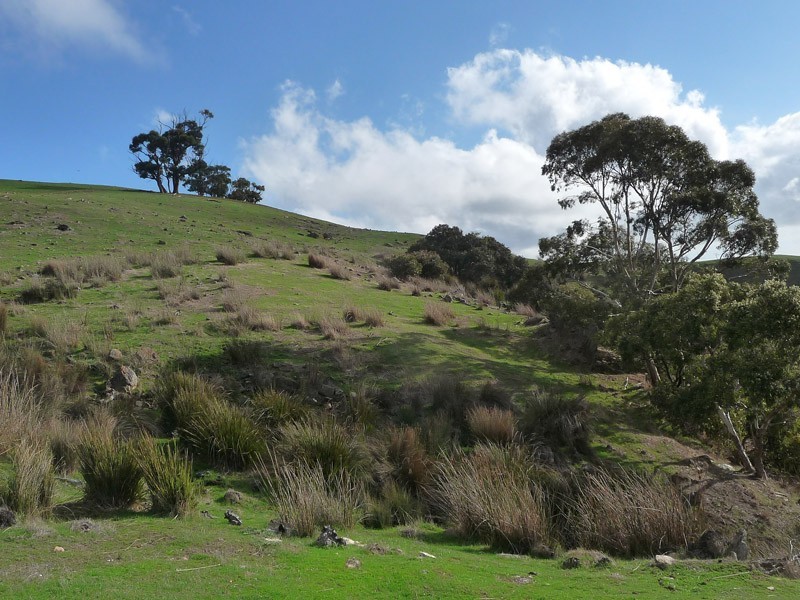 725 Kemmiss Hill Road, Inman Valley SA 5211