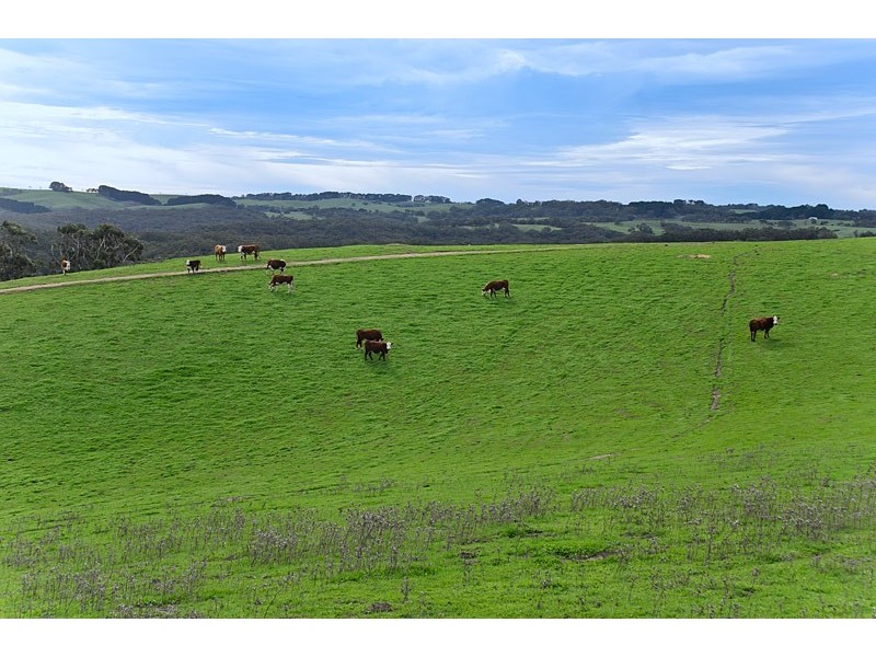 725 Kemmiss Hill Road, Inman Valley SA 5211