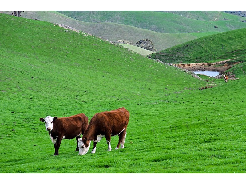 725 Kemmiss Hill Road, Inman Valley SA 5211