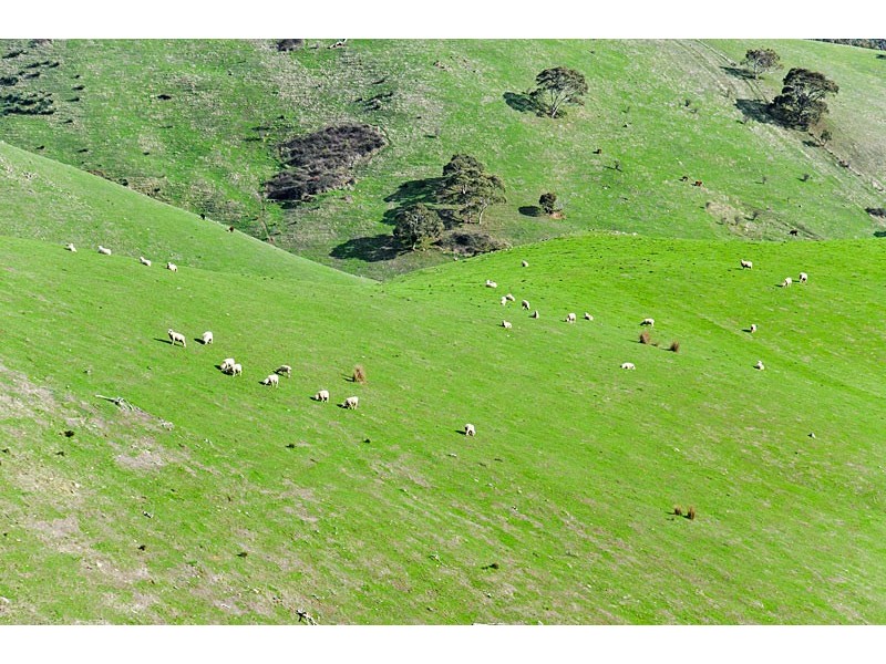 725 Kemmiss Hill Road, Inman Valley SA 5211