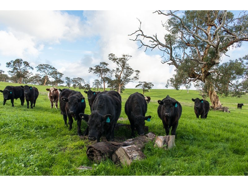 70 Sawpit Gully Road (off of Sawpit Road), Victor Harbor SA 5211