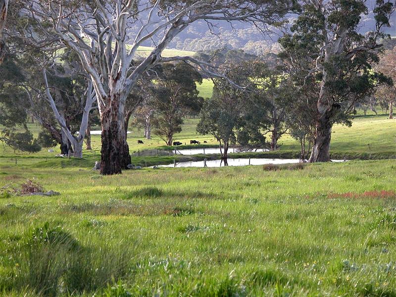 70 Sawpit Gully Road (off of Sawpit Road), Victor Harbor SA 5211