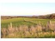 195 Cartwright Road, Lower Inman Valley SA 5211