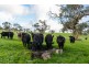 70 Sawpit Gully Road (off of Sawpit Road), Victor Harbor SA 5211