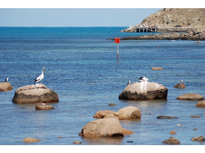 13 Petrel Avenue, Encounter Bay SA 5211