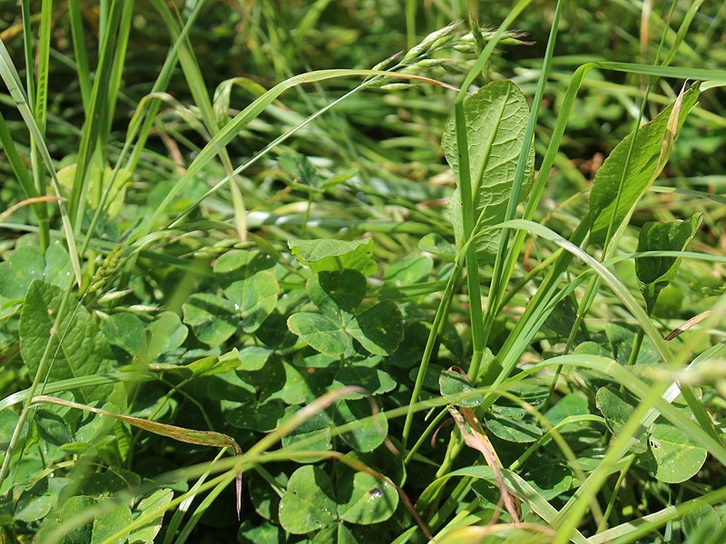 1111 Range Road, Parawa SA 5203