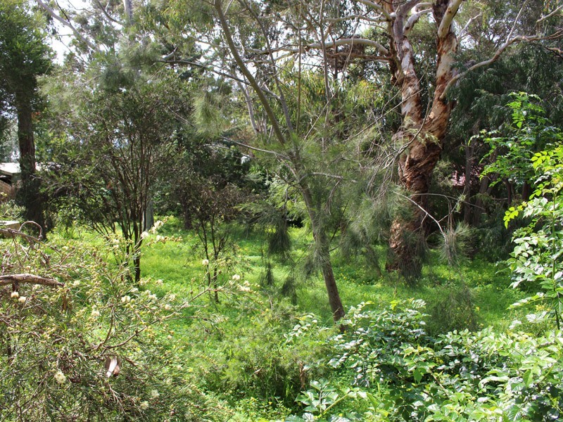 34 Pine Avenue, Victor Harbor SA 5211