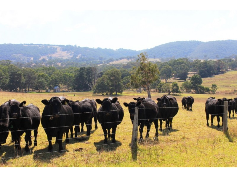 53-54 Sawpit Road, Lower Inman Valley SA 5211