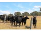 53-54 Sawpit Road, Lower Inman Valley SA 5211