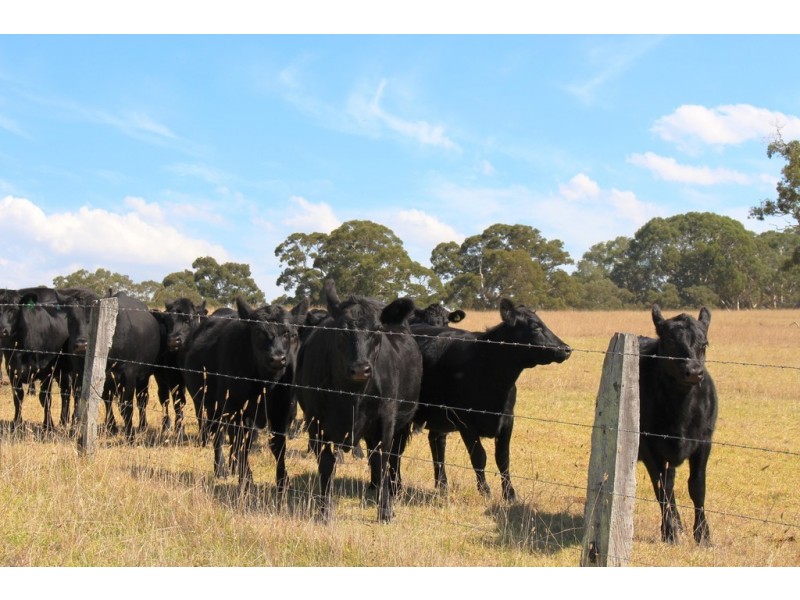 53-54 Sawpit Road, Lower Inman Valley SA 5211