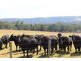 53-54 Sawpit Road, Lower Inman Valley SA 5211