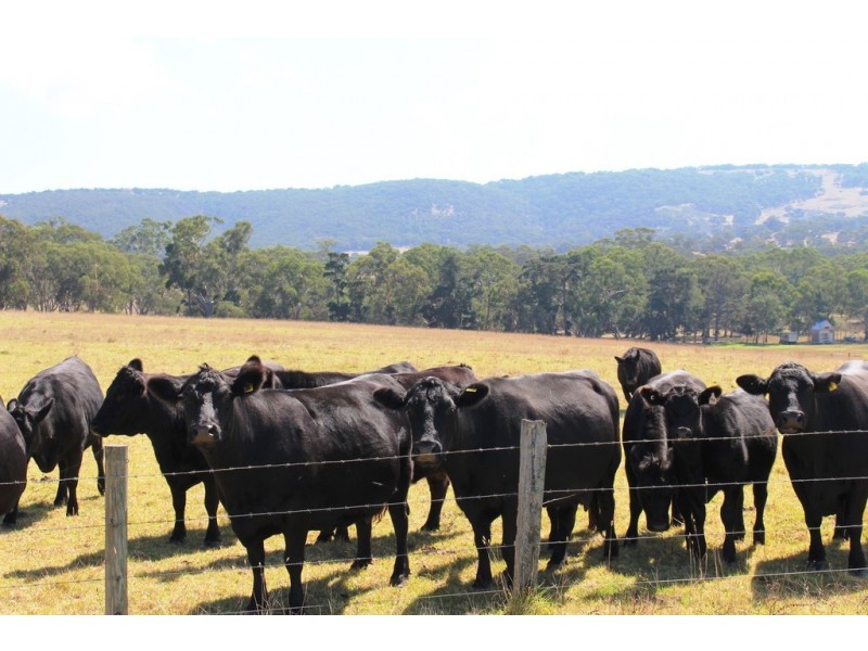 53-54 Sawpit Road, Lower Inman Valley SA 5211