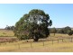 53-54 Sawpit Road, Lower Inman Valley SA 5211
