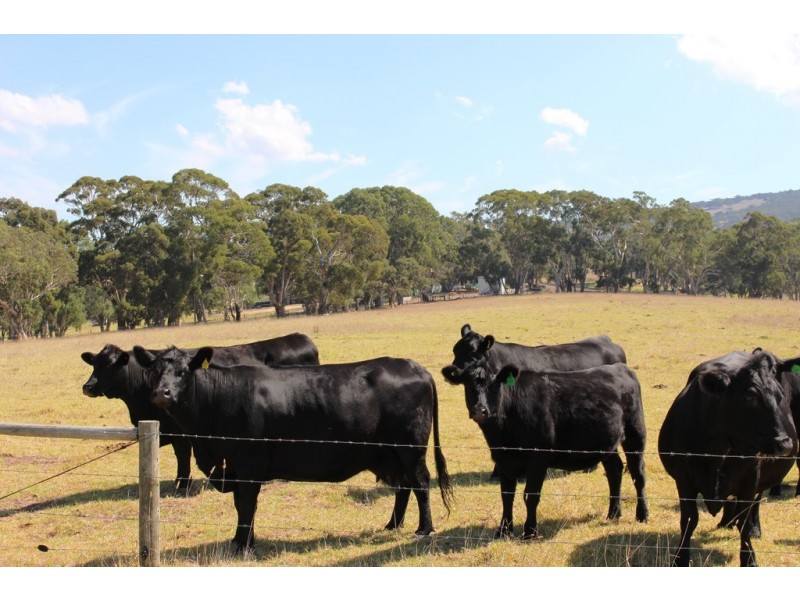 53-54 Sawpit Road, Lower Inman Valley SA 5211