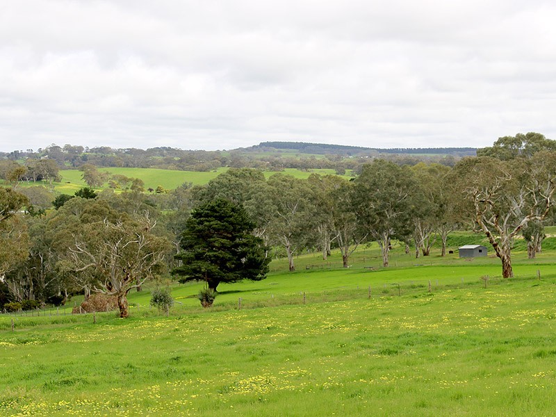 53-54 Sawpit Road, Lower Inman Valley SA 5211