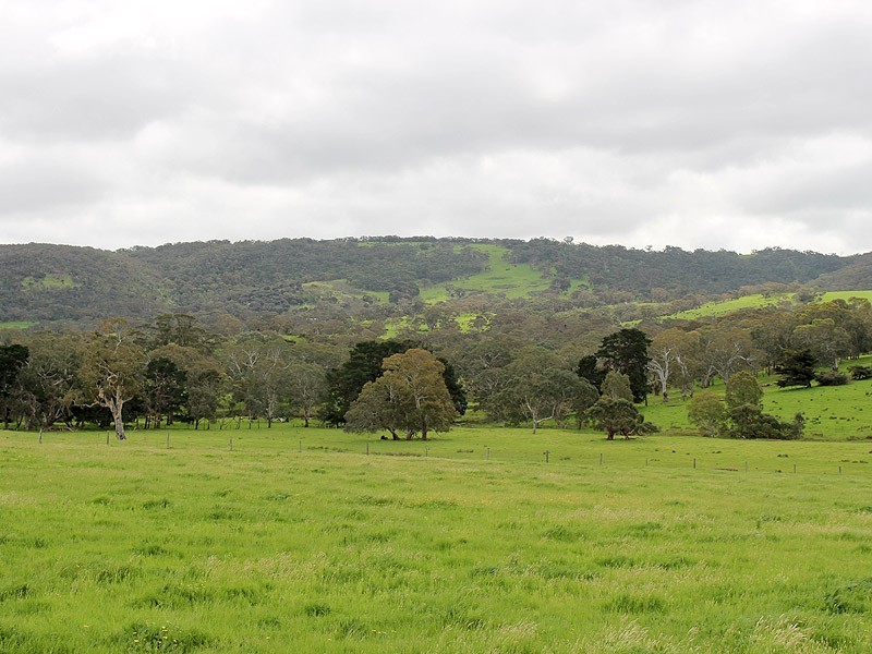 53-54 Sawpit Road, Lower Inman Valley SA 5211