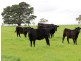 53-54 Sawpit Road, Lower Inman Valley SA 5211