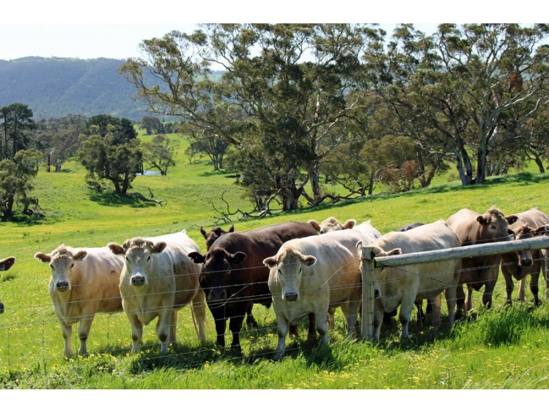 660 Greenhills Road, Victor Harbor SA 5211