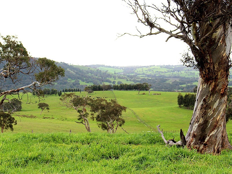 660 Greenhills Road, Victor Harbor SA 5211