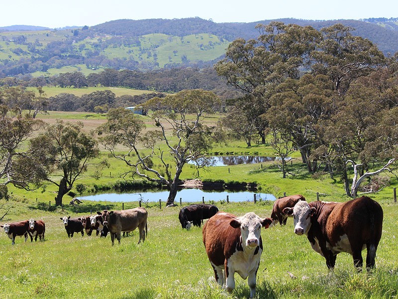 660 Greenhills Road, Victor Harbor SA 5211