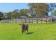 660 Greenhills Road, Victor Harbor SA 5211