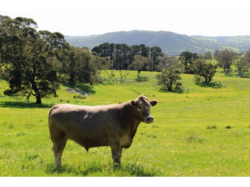 660 Greenhills Road, Victor Harbor SA 5211