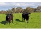 460 Tugwell Road, Victor Harbor SA 5211