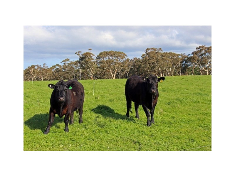 460 Tugwell Road, Victor Harbor SA 5211