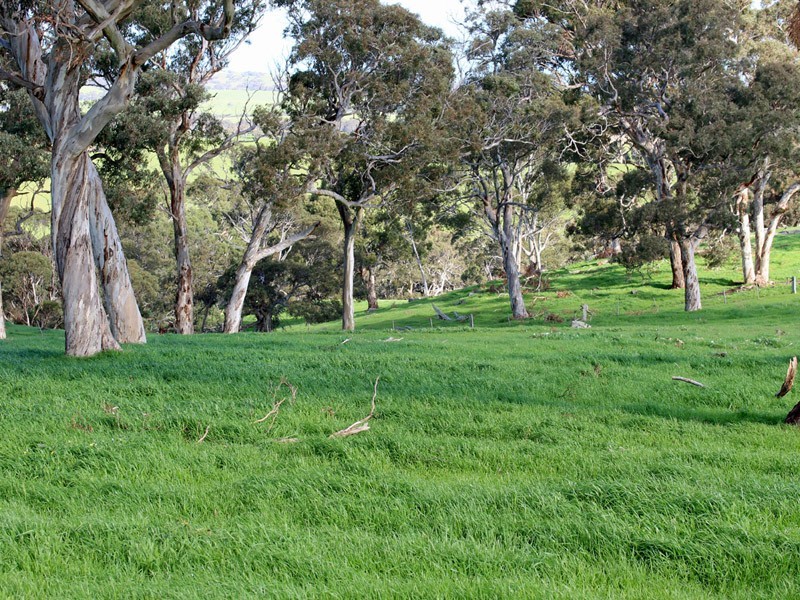 460 Tugwell Road, Victor Harbor SA 5211