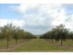 Lot 4 Finniss Park Road, Currency Creek SA 5214