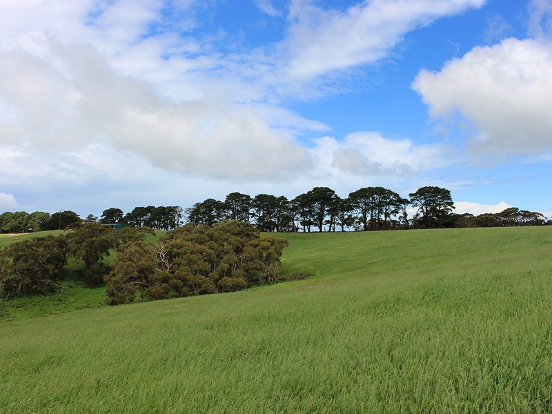 1111 Range Road, Parawa SA 5203