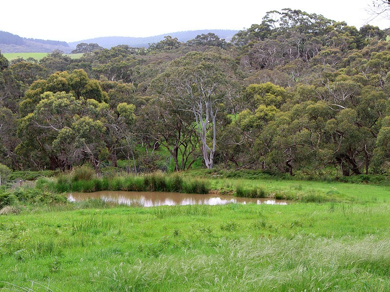 1111 Range Road, Parawa SA 5203