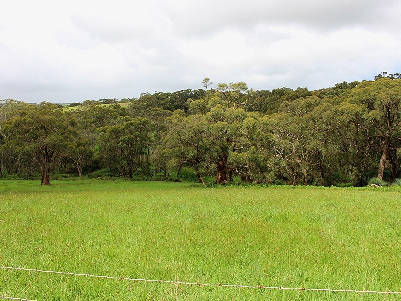 1111 Range Road, Parawa SA 5203