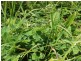 1111 Range Road, Parawa SA 5203