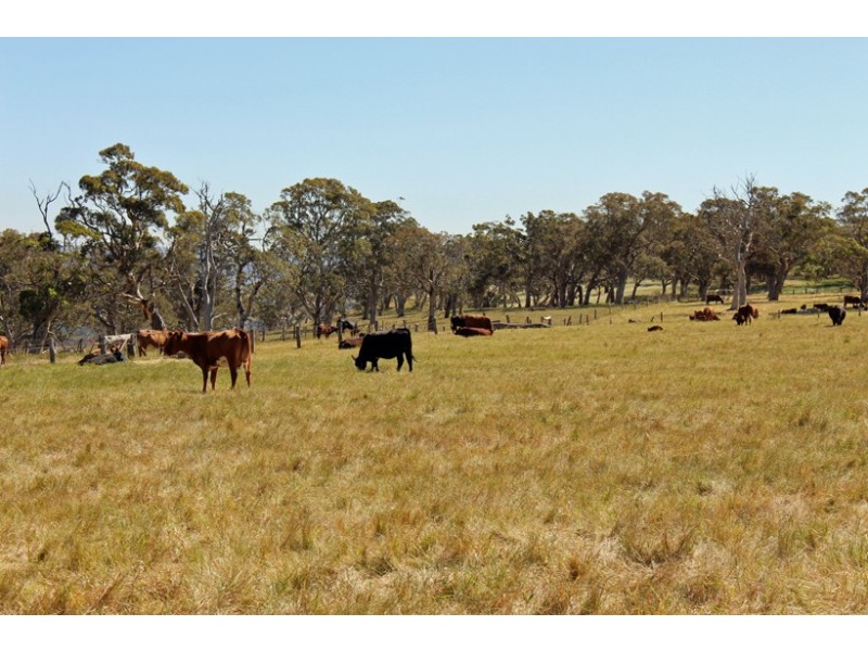 525 Tugwell Road, Victor Harbor SA 5211