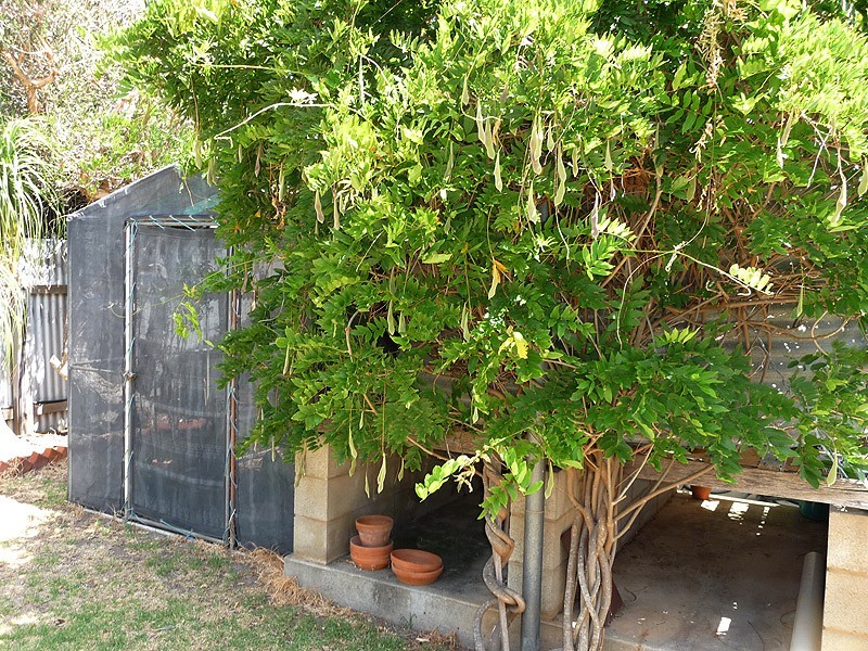 22 Coleman Avenue,, Mccracken SA 5211