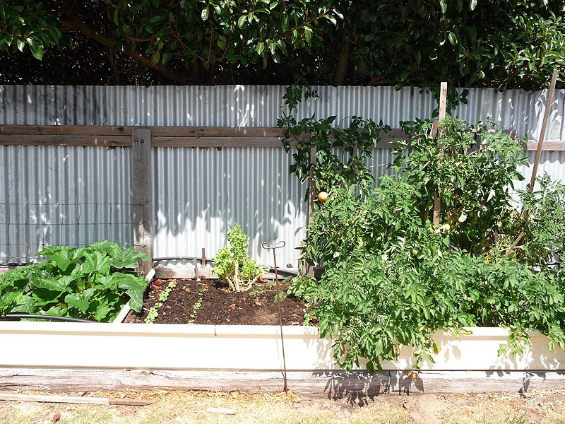 22 Coleman Avenue,, Mccracken SA 5211