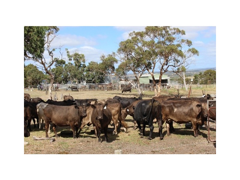 331 Sawpit Road, Hindmarsh Valley SA 5211