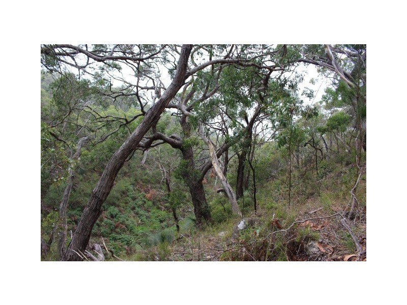 331 Sawpit Road, Hindmarsh Valley SA 5211