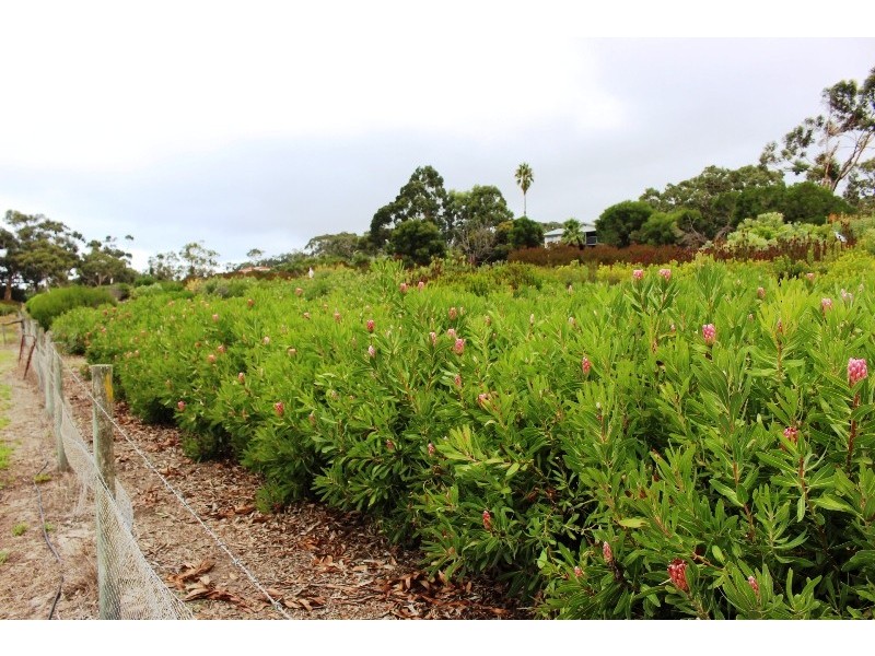 137 Waggon Road, Victor Harbor SA 5211