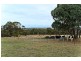Lot 298 Nangawooka Track, Hindmarsh Valley SA 5211