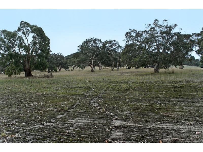 Lot 298 Nangawooka Track, Hindmarsh Valley SA 5211