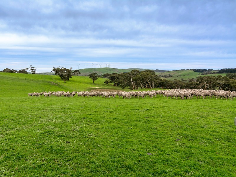 9058 Main South Rd, Delamere SA 5204