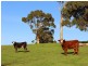 229 Burgar Road, Middleton SA 5213