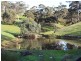 229 Burgar Road, Middleton SA 5213