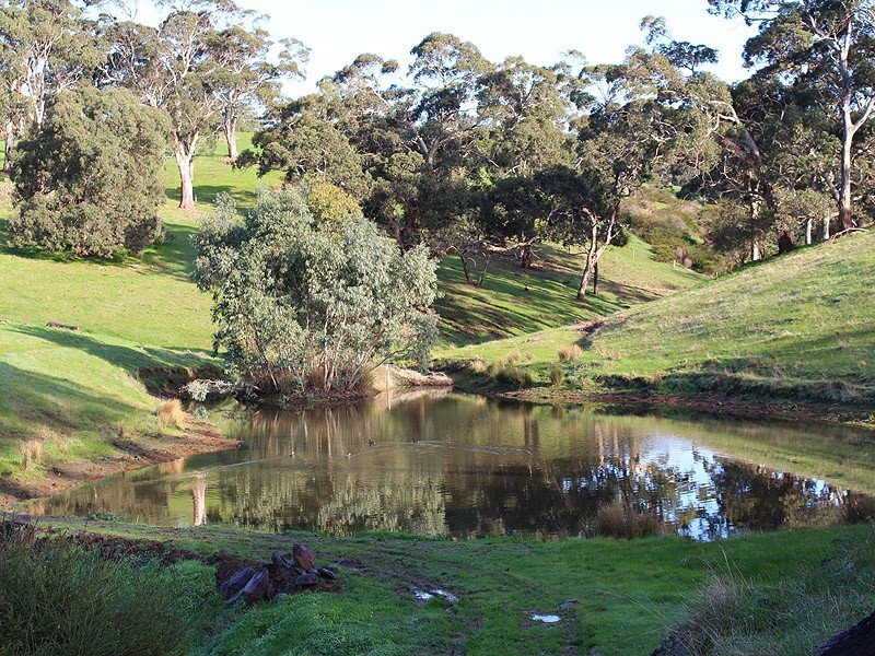 229 Burgar Road, Middleton SA 5213