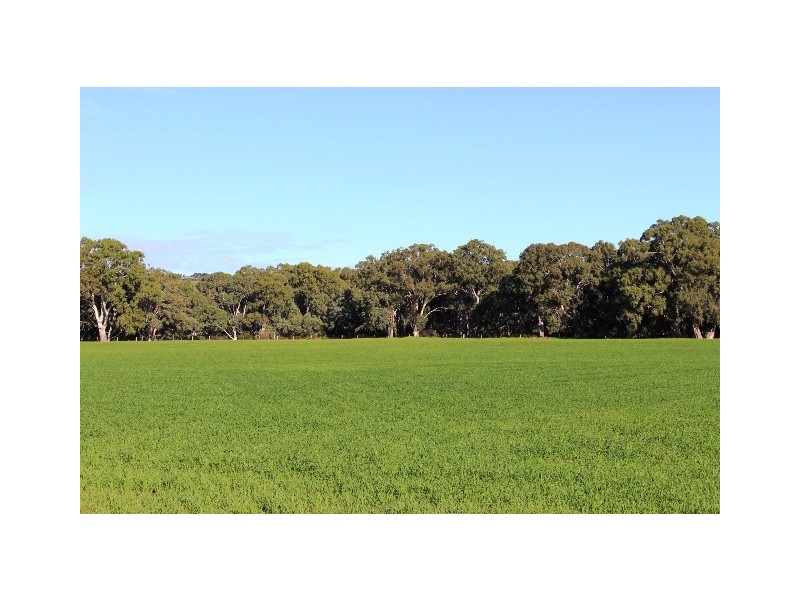 2 and 3 Glen Road, Victor Harbor SA 5211