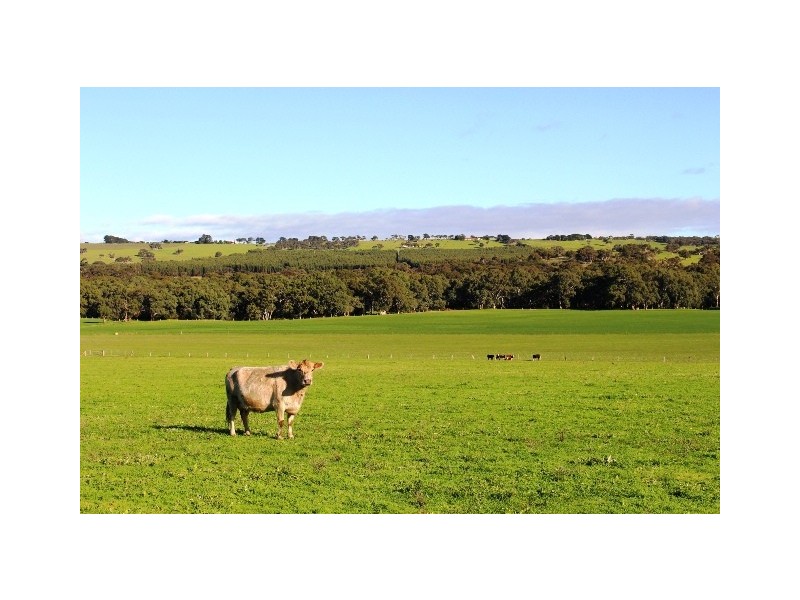 2 and 3 Glen Road, Victor Harbor SA 5211